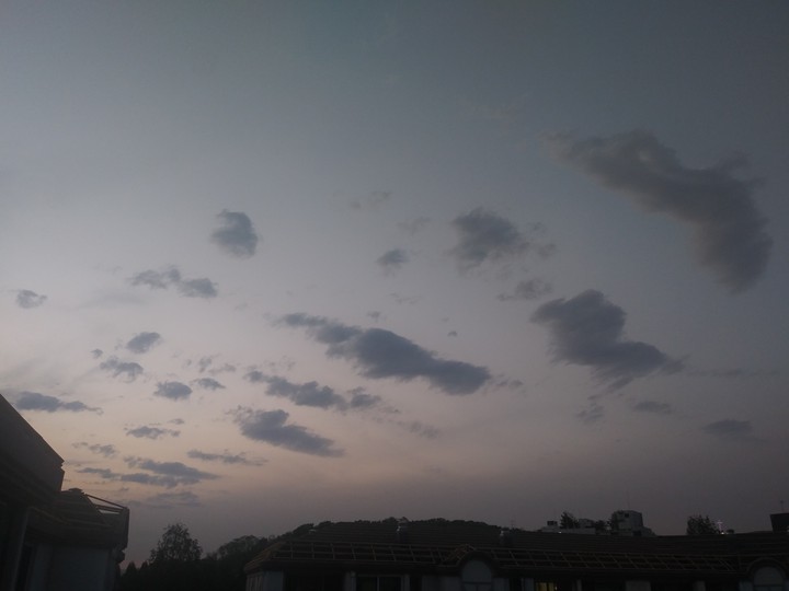 구름따라 두둥실 ☁