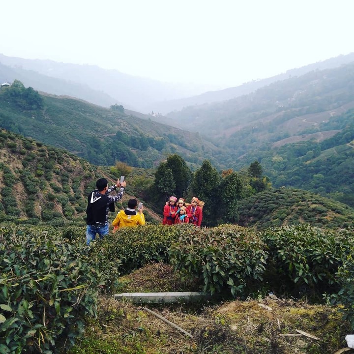 darjeeling