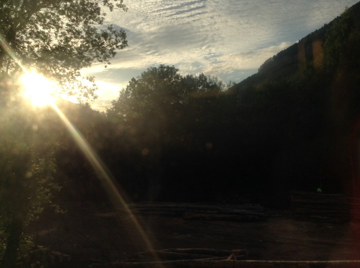 Sunshine throught the canopy