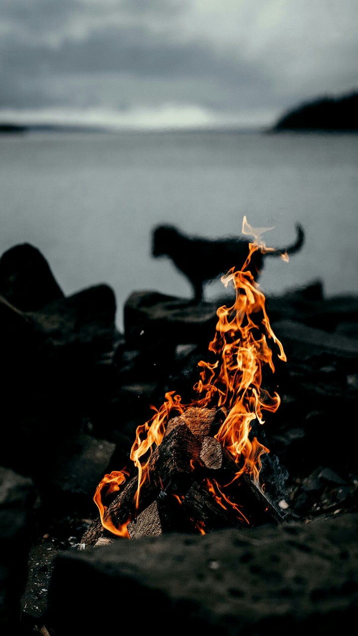 fire in darkness