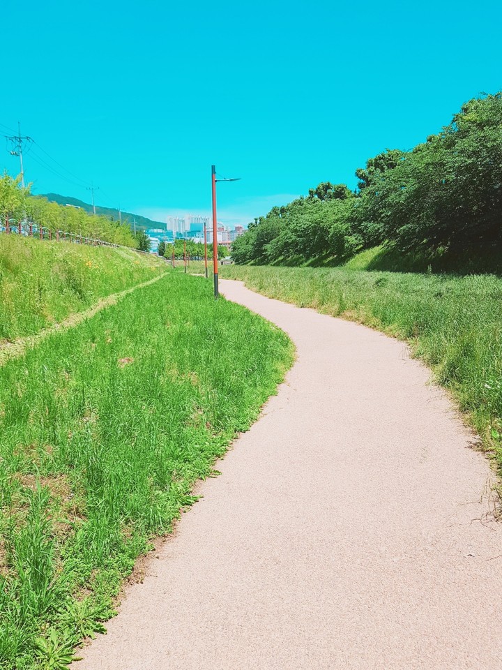 산책길