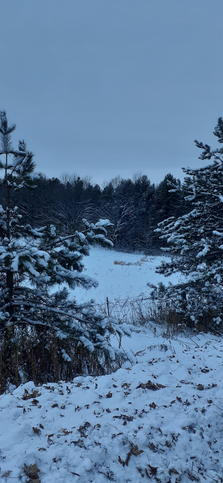 Snow day