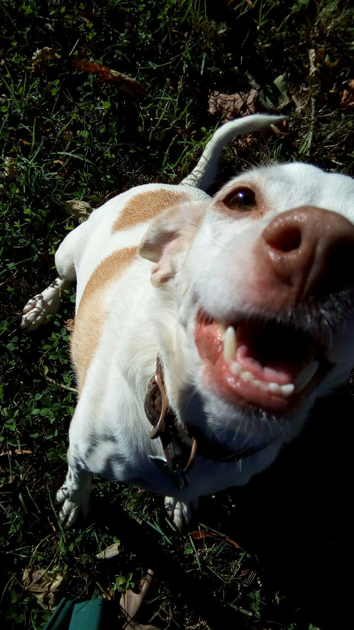 Hi!