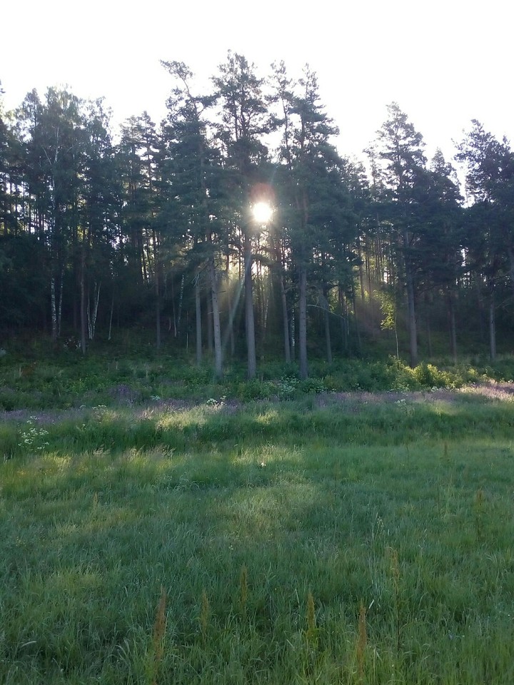 in the morning