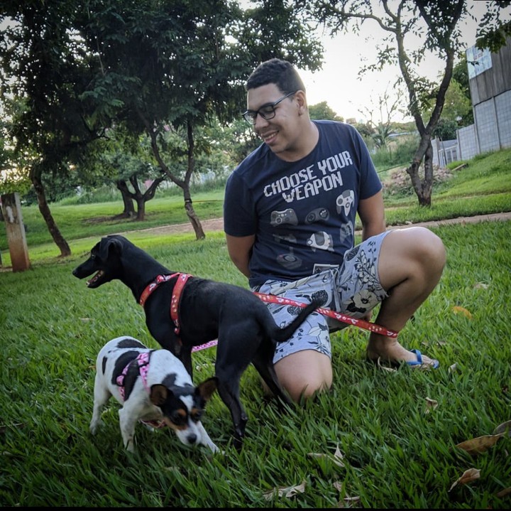 my dogs