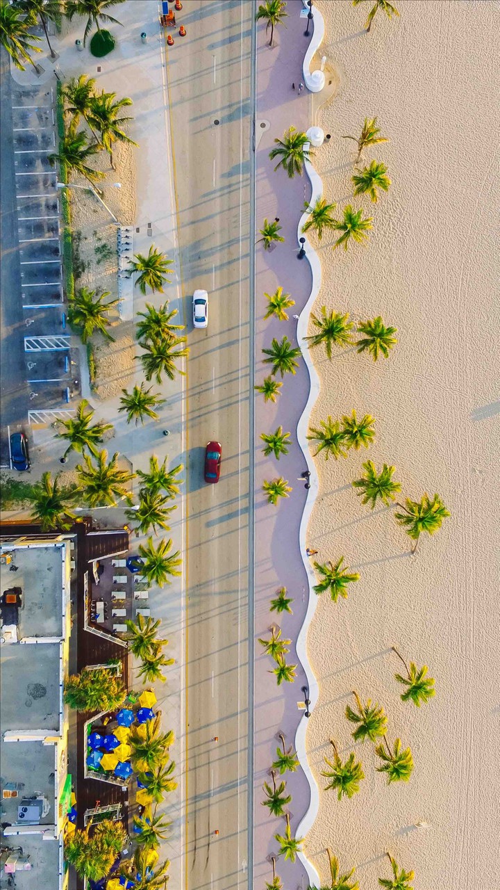 bird view