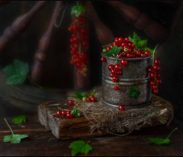 Redcurrant