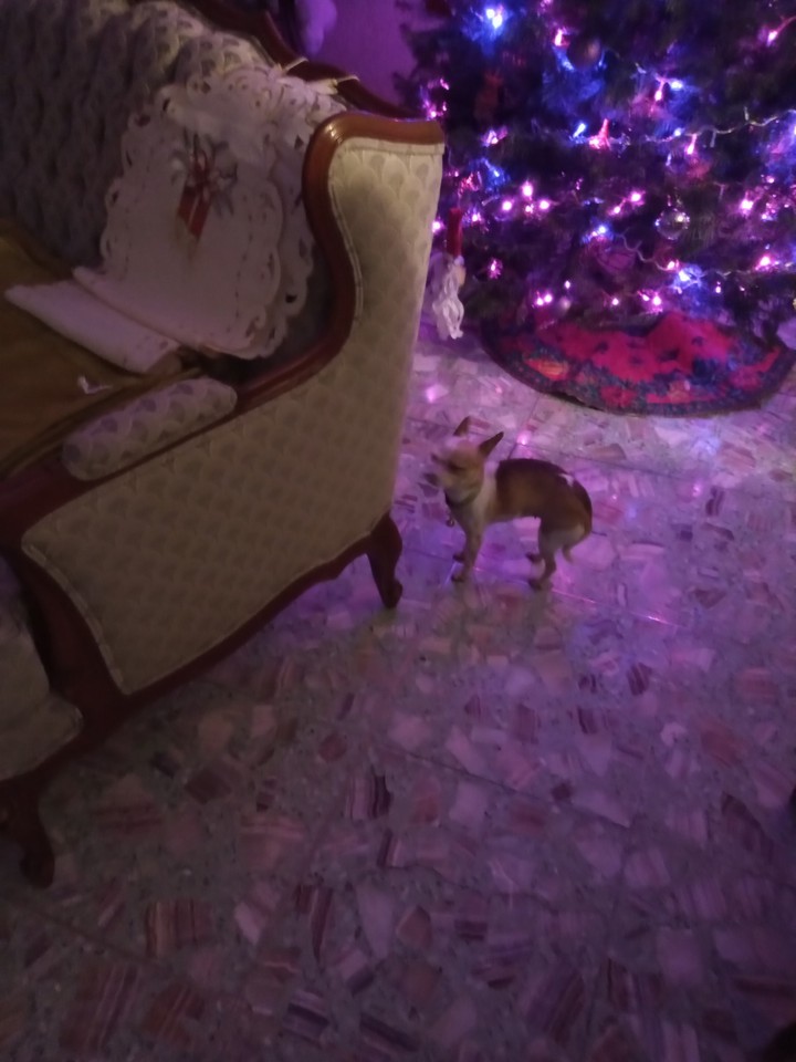 Kitty ??