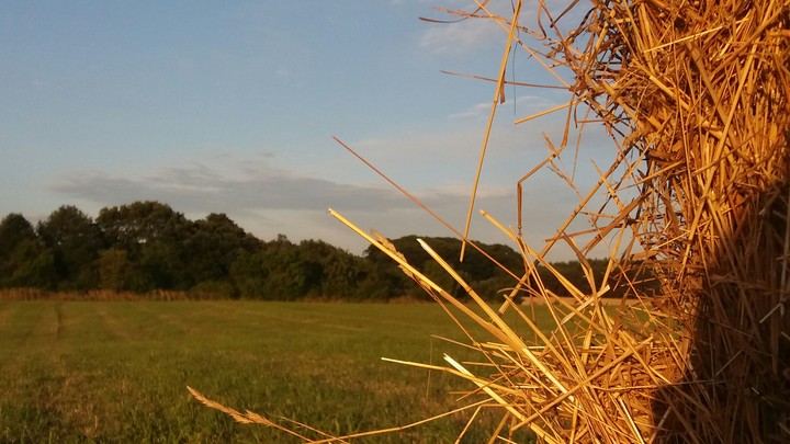 Hay bales in the sunset