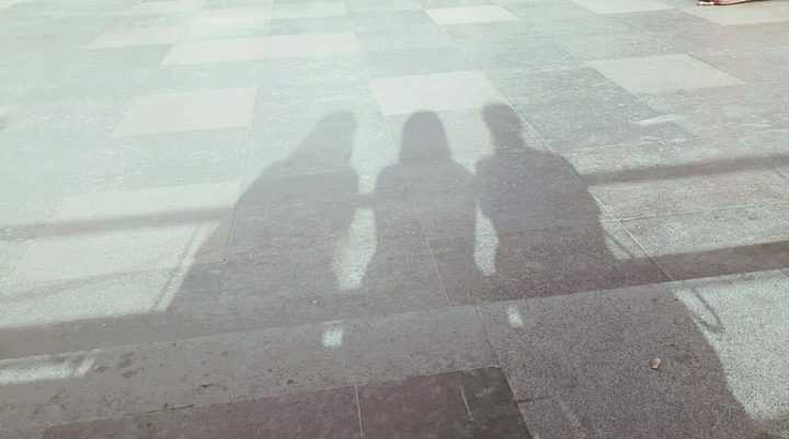 the shadows