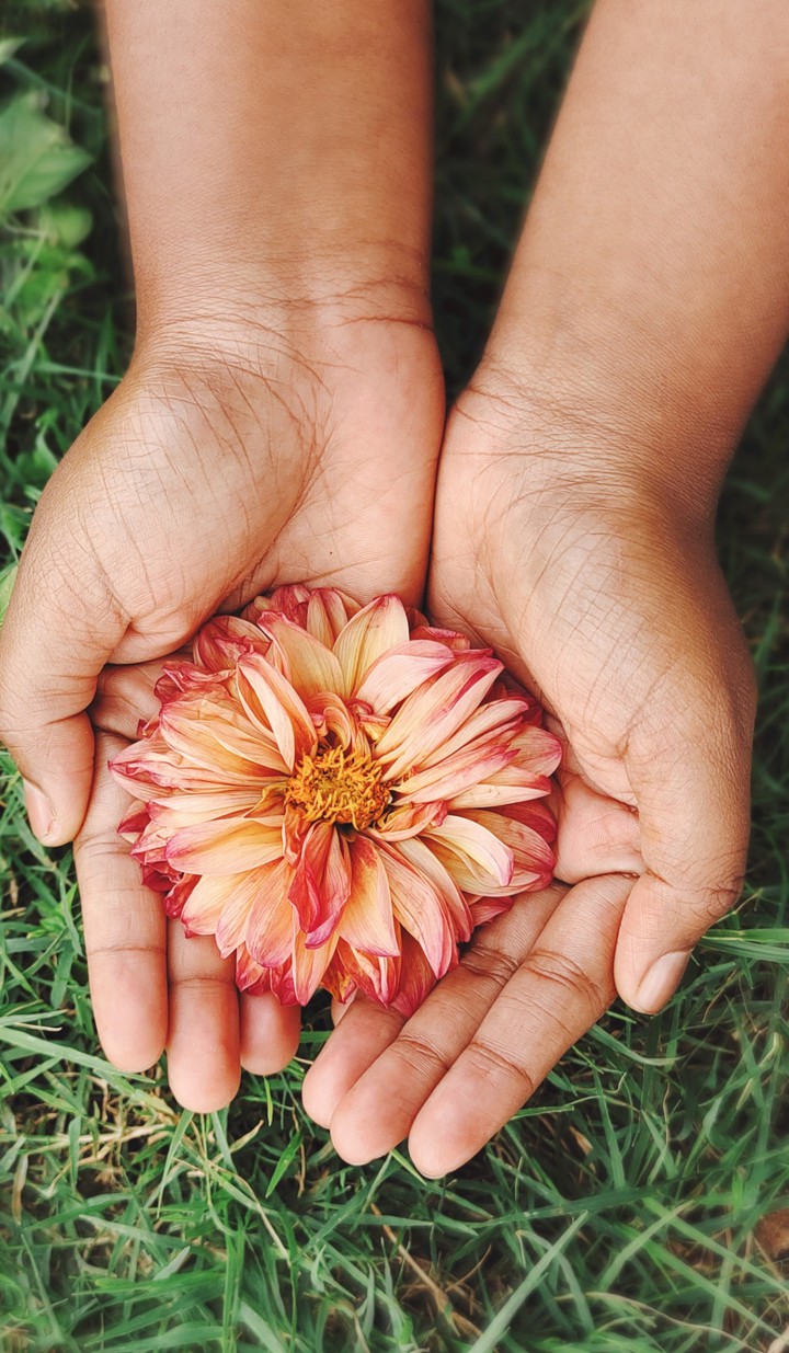 flower in my hands