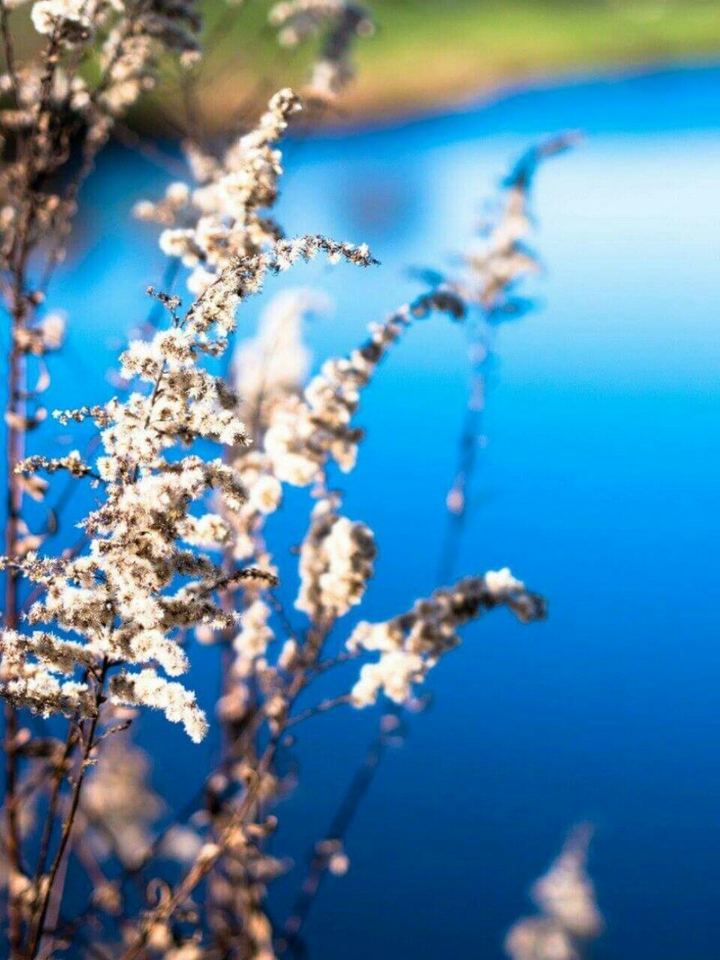 Spring is on the Way