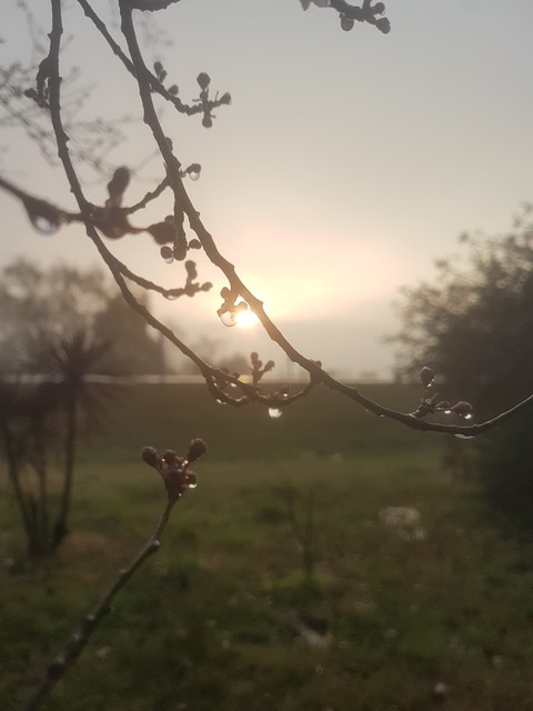 rain lluvia