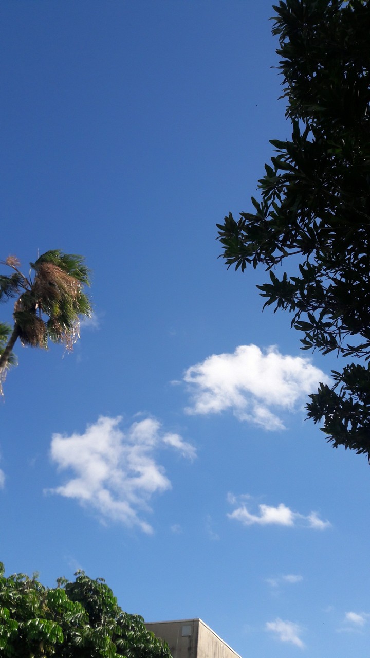 céu