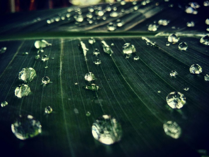 droplets