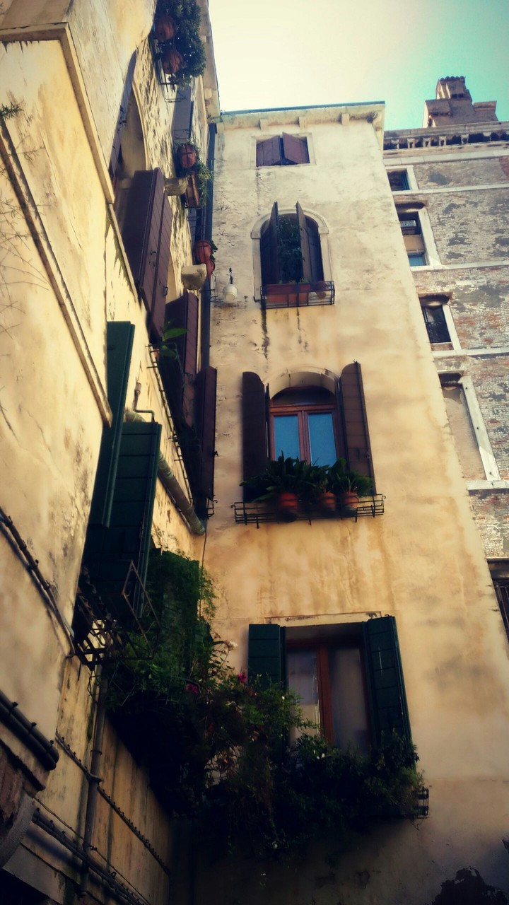 venezia