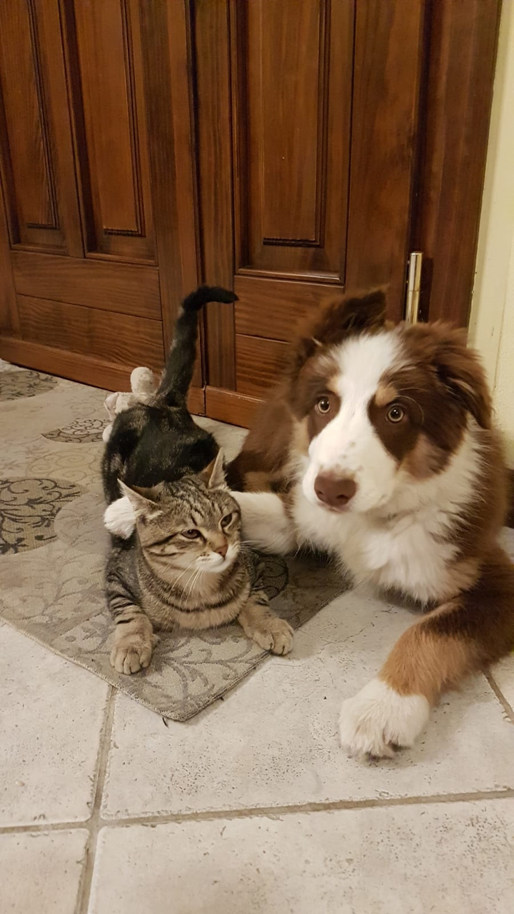 friends