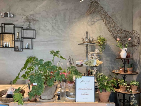 flowerpot, event Hintergrundbilder