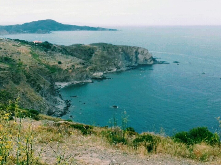 Paysage