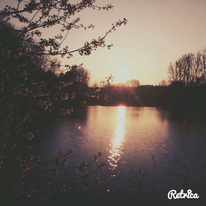 Sun/Water