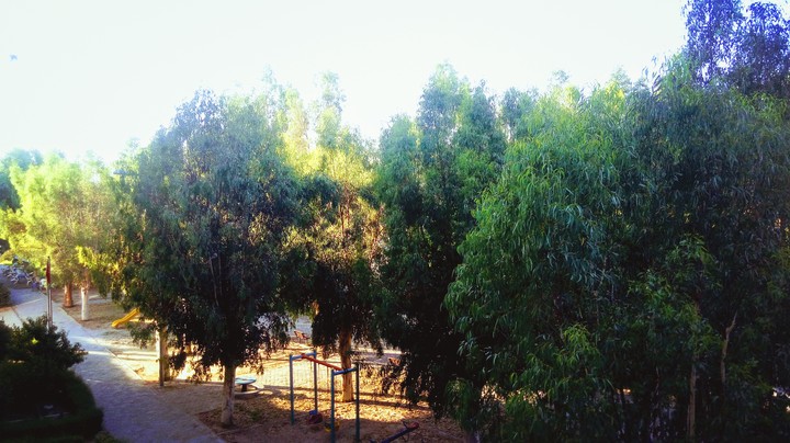 Home Sweet Home.