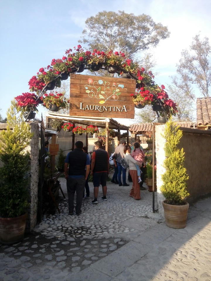 larentina valquirico