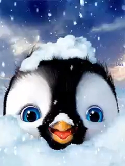 רקעים bird, snow