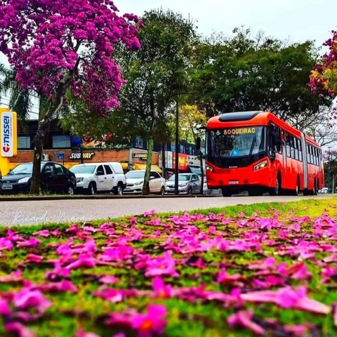 By Joinville in Brasil