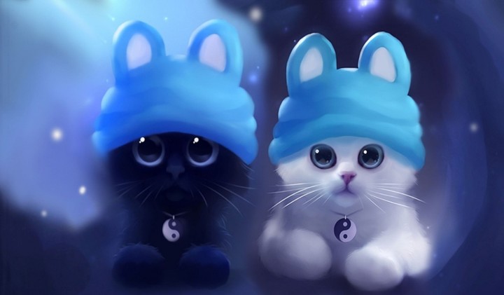Cute Cats!!!!!!!