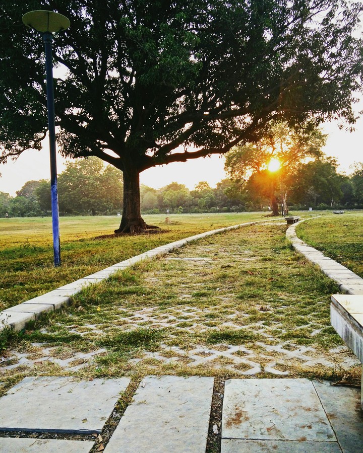 Path of hope