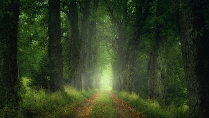 road