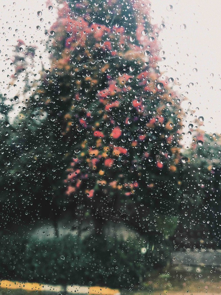 rainy day