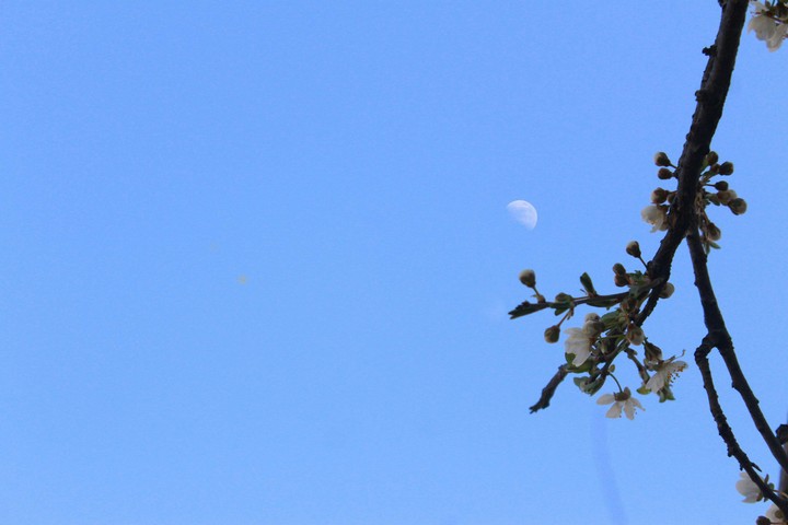 My moon