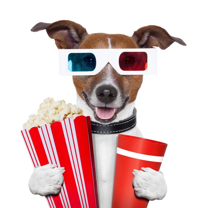 movie time