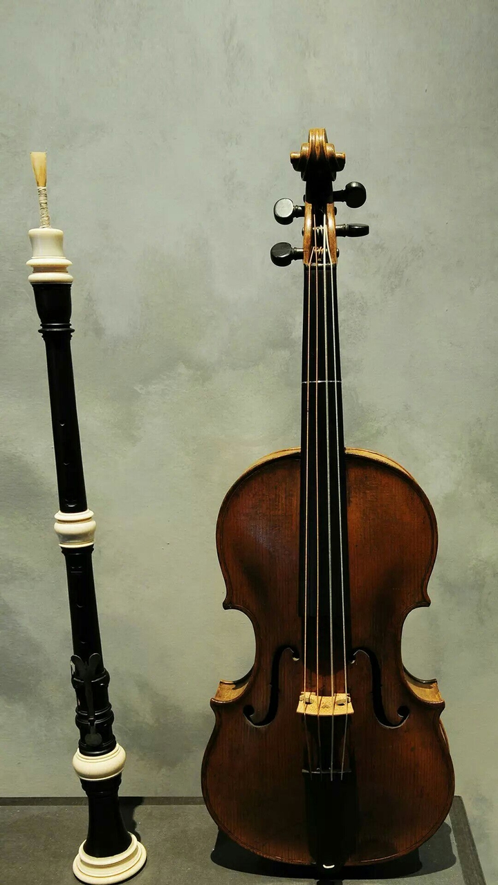 violin