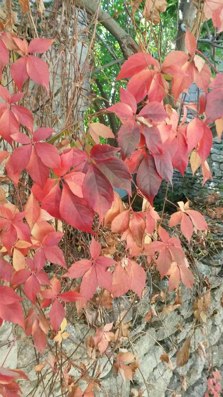 red