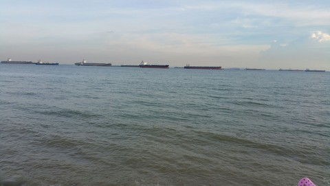 The Harbour