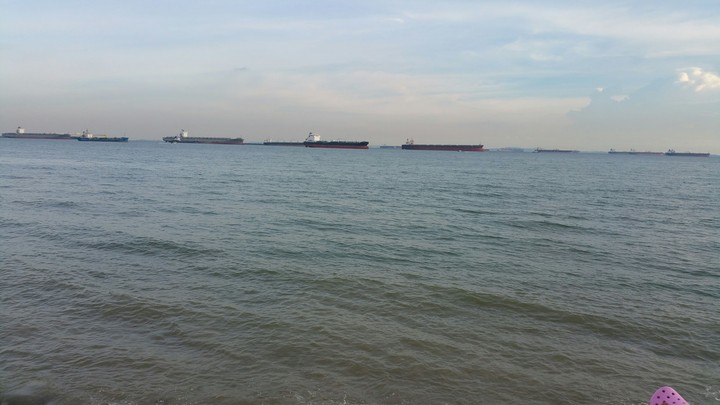 The Harbour