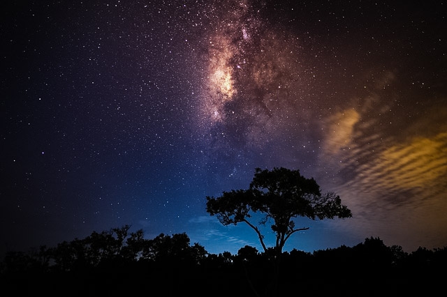 Savanna Sky at night