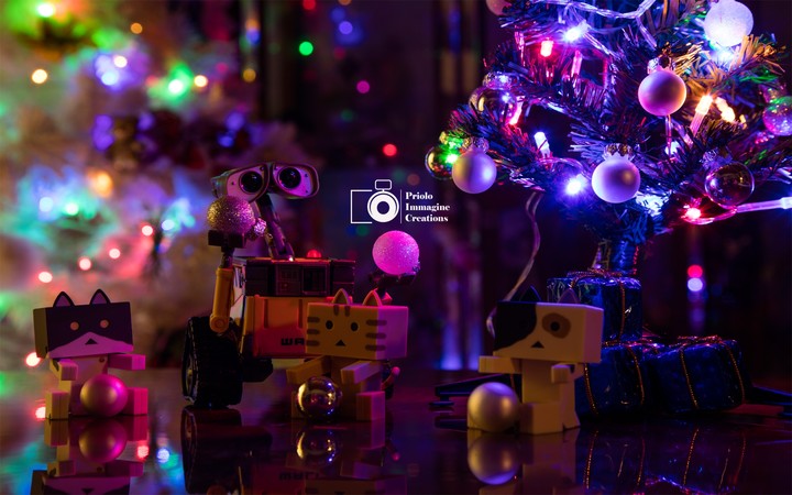 Christmas in progress