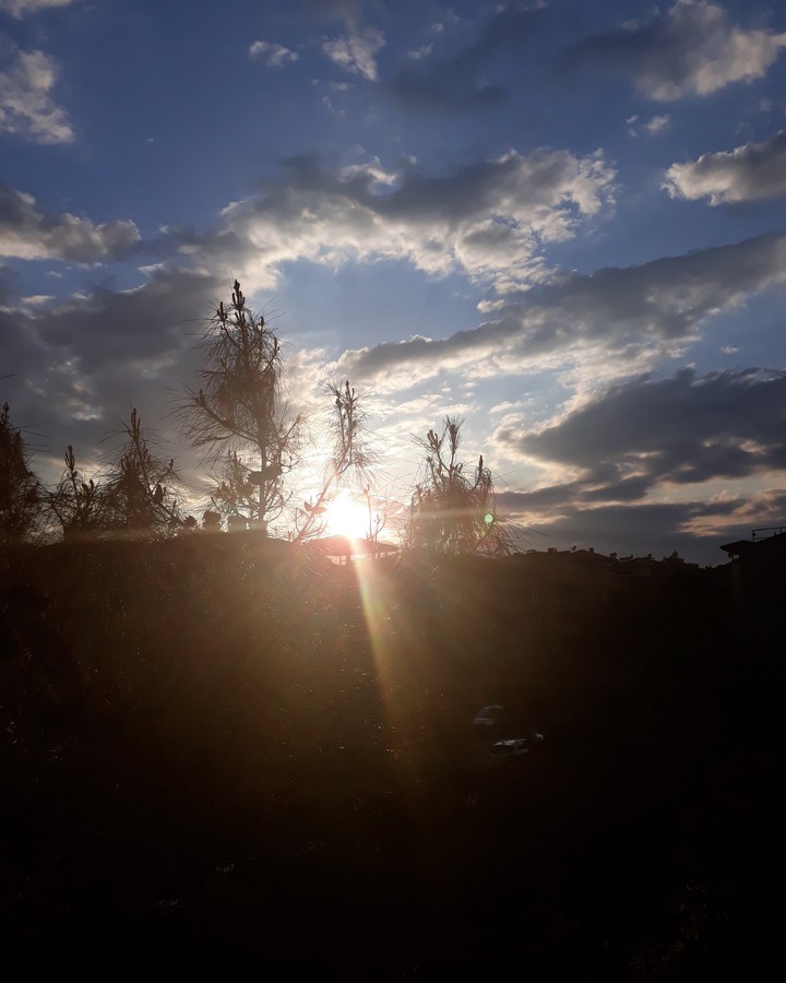 sunset