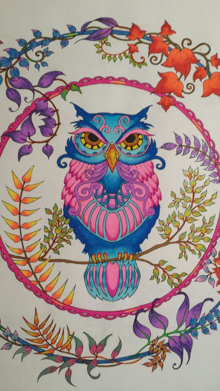 Love Owls