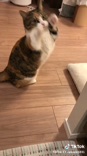 ?