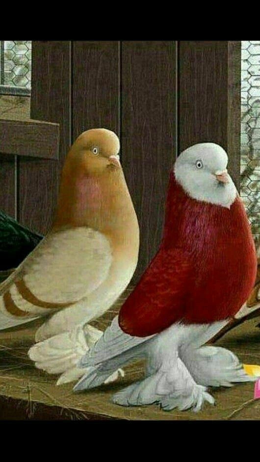 ❤