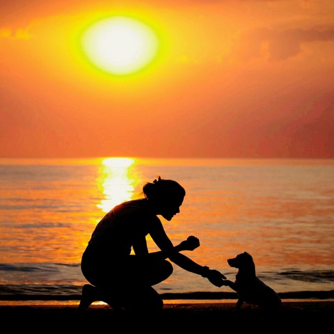 The Little love is