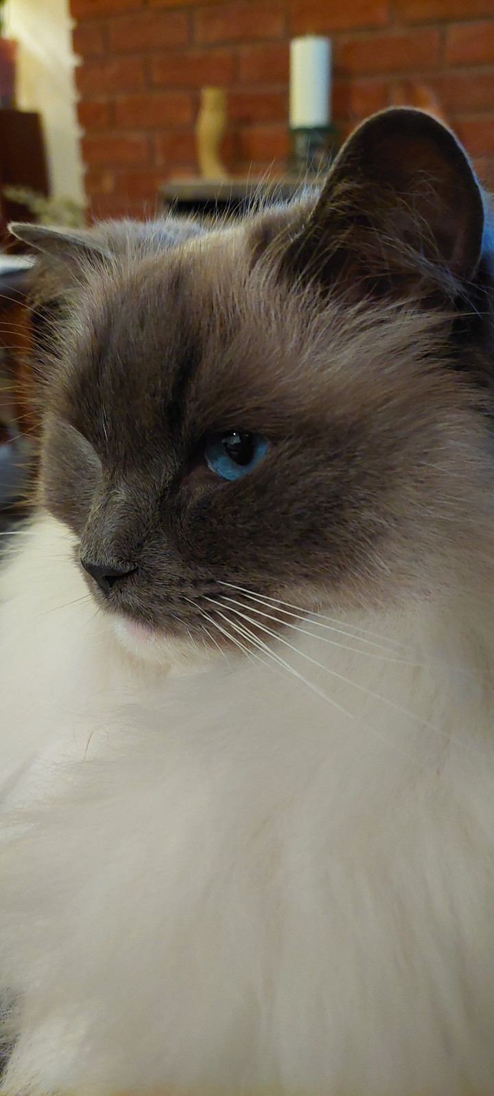 those eyes....