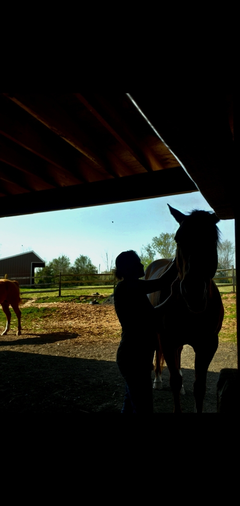 landscape, animal Hintergrundbilder