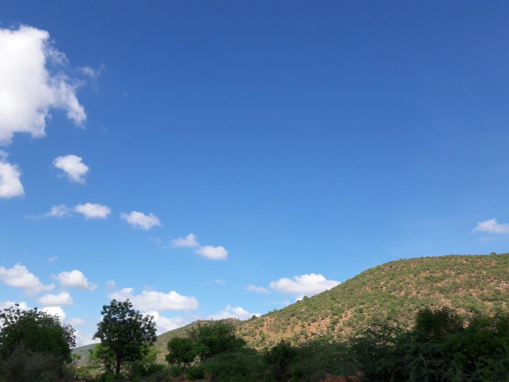 nature