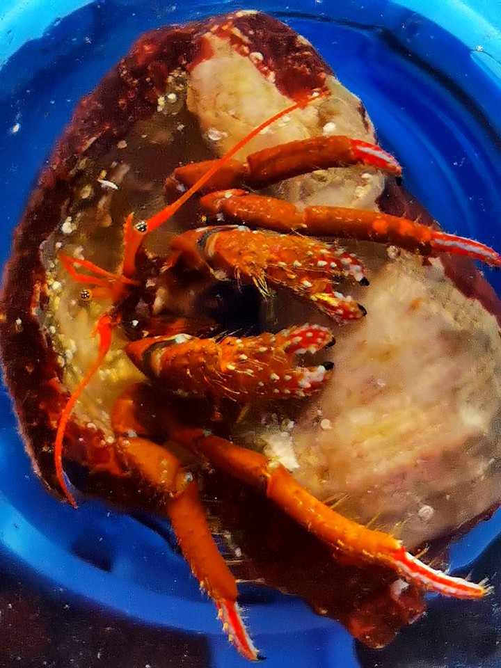 ?