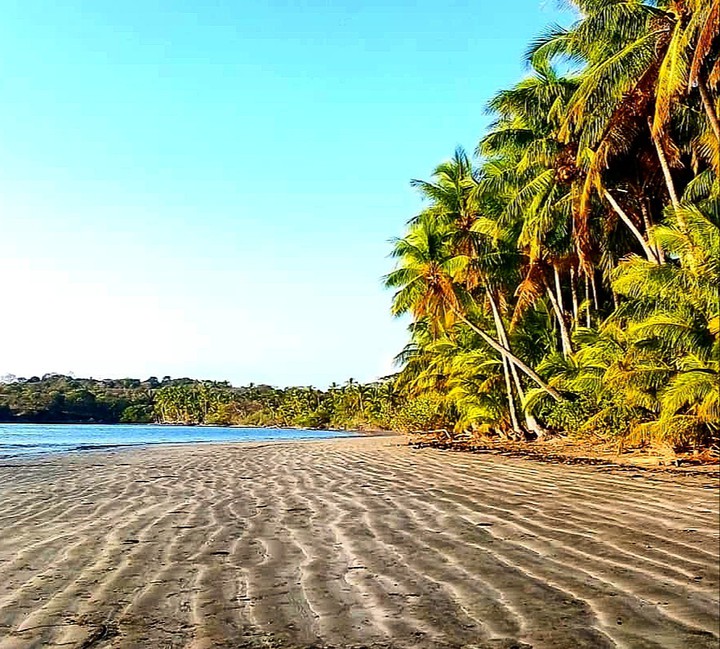 ?ISLAND